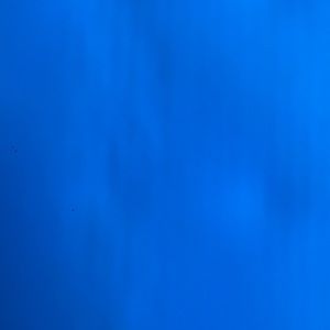 Meet your Posher, Isabellle